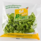 SIPO presenta le insalate biologiche per i mercati esteri con il nuovo brand SI Bionda